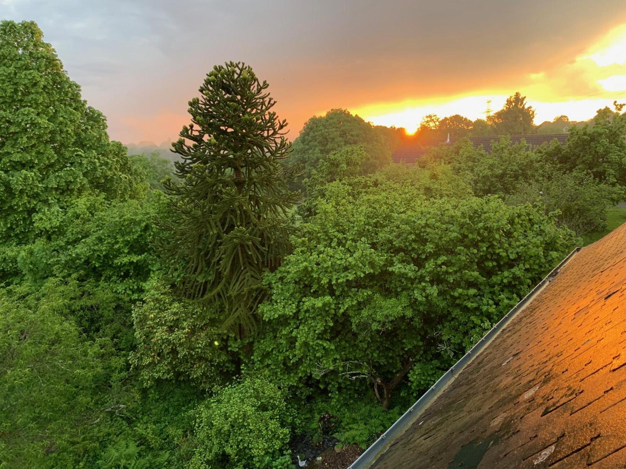 Bed and Breakfast Le Petit Manoir Isigny-le-Buat Екстер'єр фото